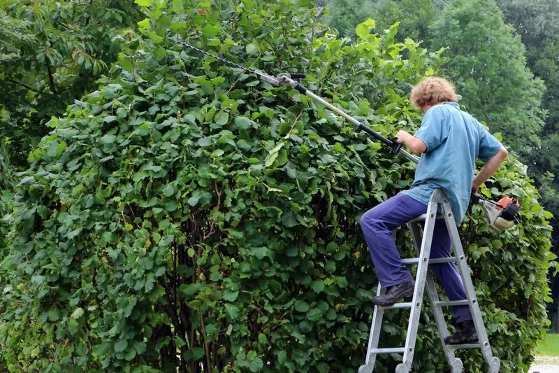 long-reach-hedge-trimming[1]